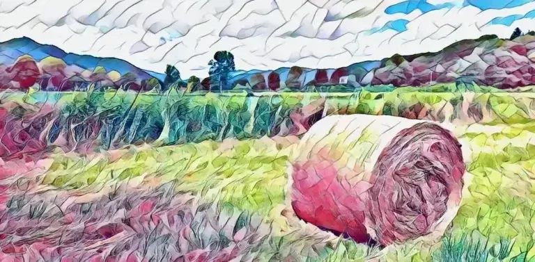 Botte de foin posée sur un pré dans la vallée de la Cère (Cantal)
